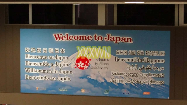 Asian Sex Diary Flight To Japan Arrives In Tokyo Diary Japan